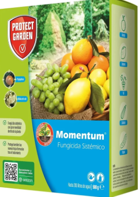 Protect garden lawn fungicide 500g